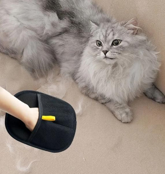 HANDY PET HAIR GLOVES